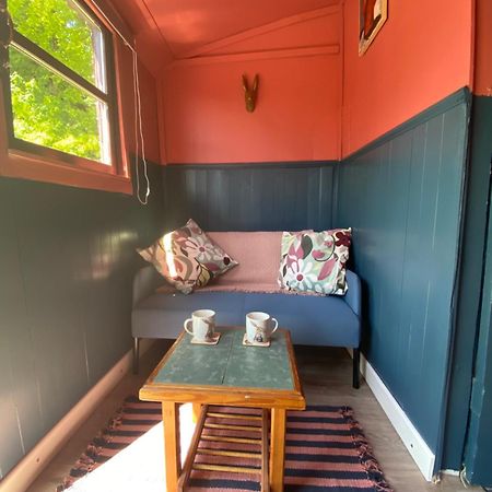 The Hares Hut At Carrigeen Glamping Kilkenny Dış mekan fotoğraf