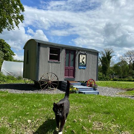 The Hares Hut At Carrigeen Glamping Kilkenny Dış mekan fotoğraf