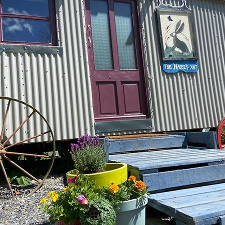 The Hares Hut At Carrigeen Glamping Kilkenny Dış mekan fotoğraf