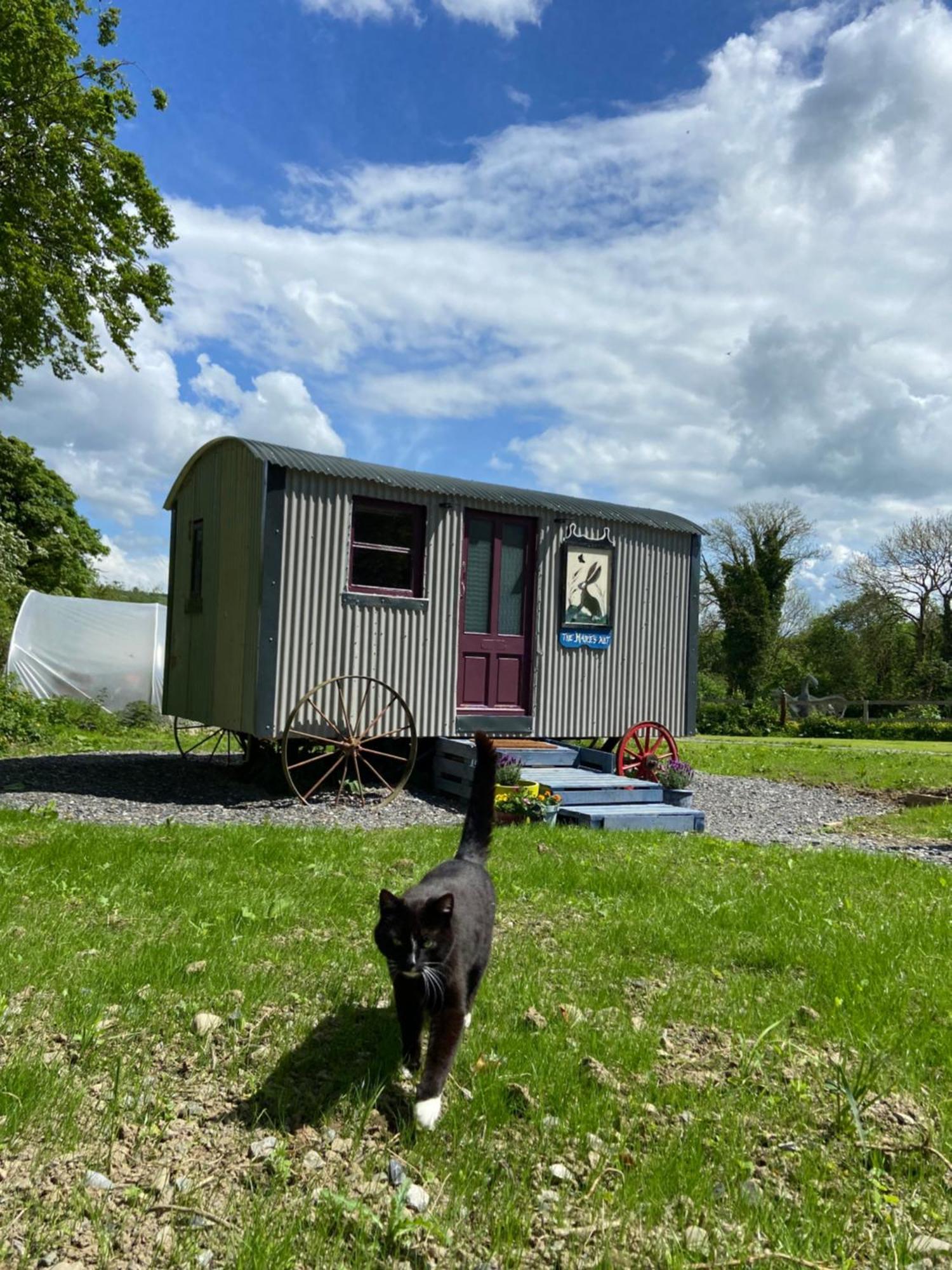 The Hares Hut At Carrigeen Glamping Kilkenny Dış mekan fotoğraf