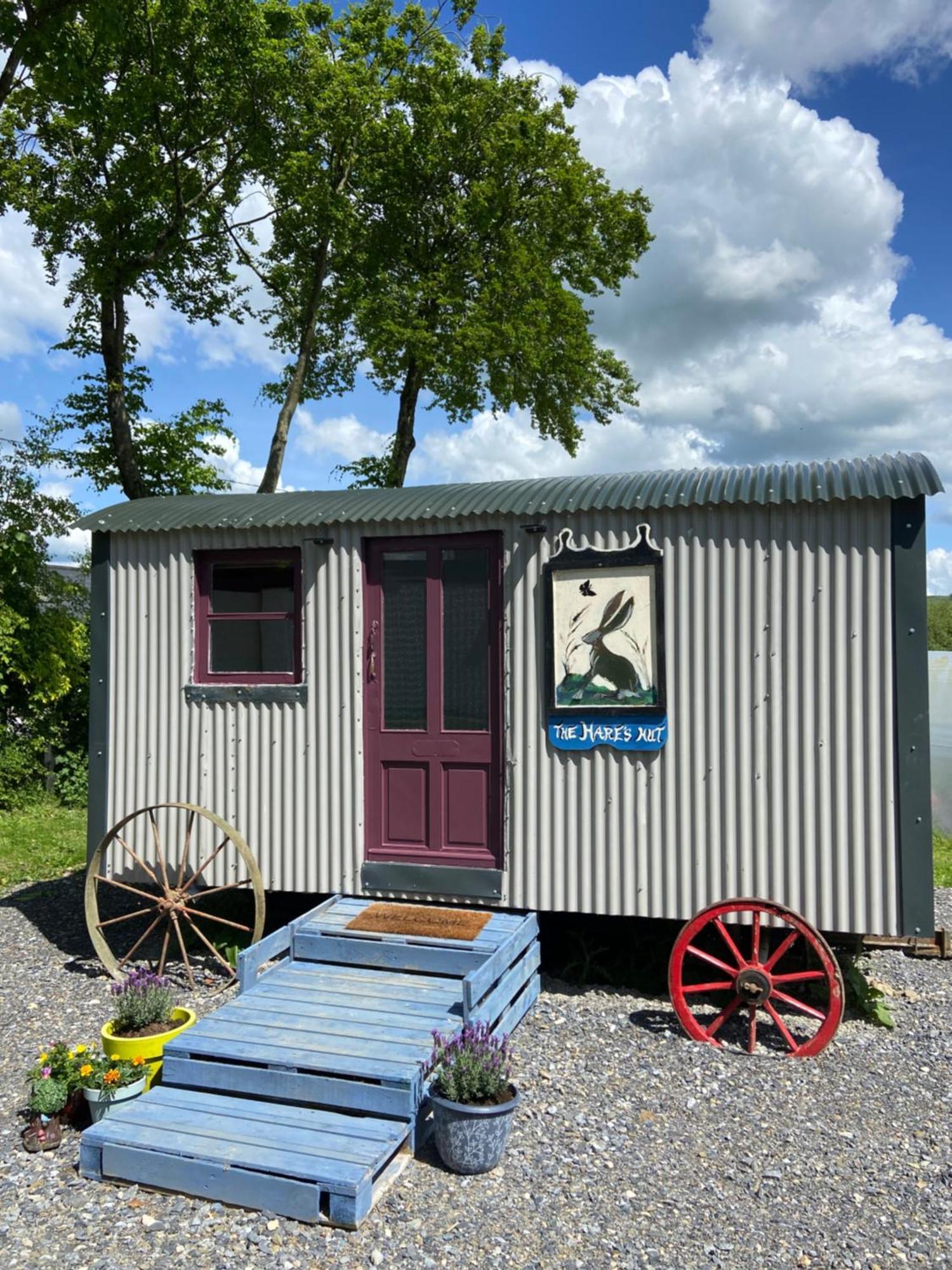 The Hares Hut At Carrigeen Glamping Kilkenny Dış mekan fotoğraf